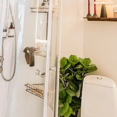 Cozy